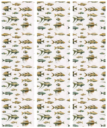 3-delad rumsavdelare - Unusual species of fish a