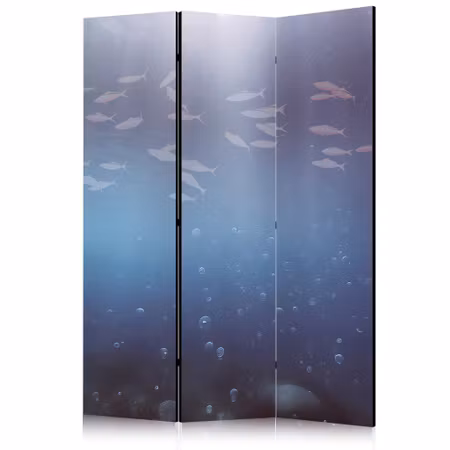 3-delad rumsavdelare - School of small fish