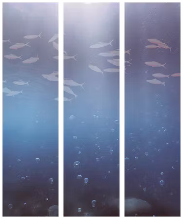 3-delad rumsavdelare - School of small fish