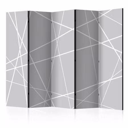 5-delad ljuddämpande rumsavdelare - Modern cobweb