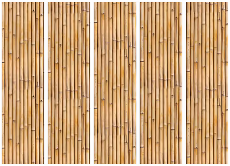 5-delad rumsavdelare - Amazonian Wall