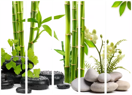 5-delad rumsavdelare - Bamboos and Stones