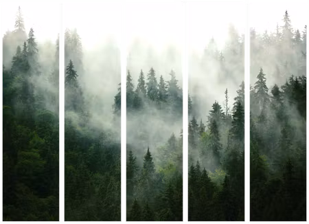 5-delad rumsavdelare - Coniferous Forest