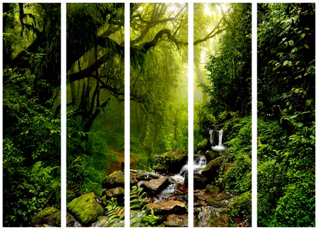 5-delad rumsavdelare - The Fairytale Forest