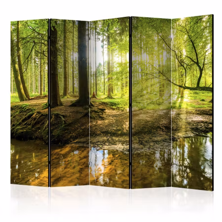 5-delad rumsavdelare - Forest Lake