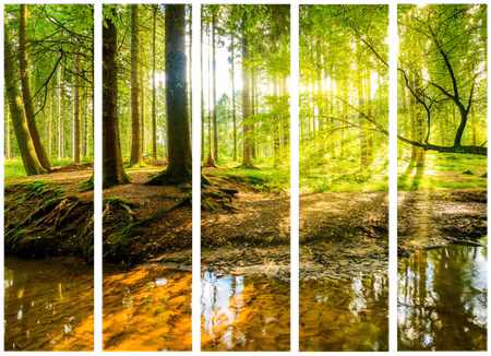 5-delad rumsavdelare - Forest Lake