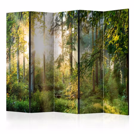 5-delad rumsavdelare - Untamed Nature