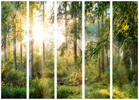 5-delad rumsavdelare - Untamed Nature