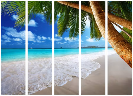 5-delad rumsavdelare - Tropical Island