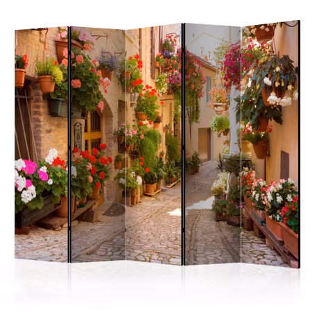 5-delad rumsavdelare - The Alley in Spello Italy