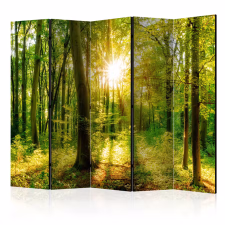 5-delad rumsavdelare - Forest Rays
