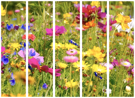 5-delad rumsavdelare - Summer Flowers