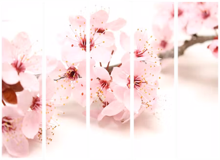 5-delad rumsavdelare - Cherry Blossom