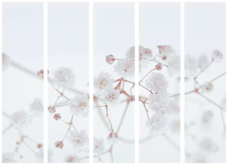 5-delad rumsavdelare - White Flowers