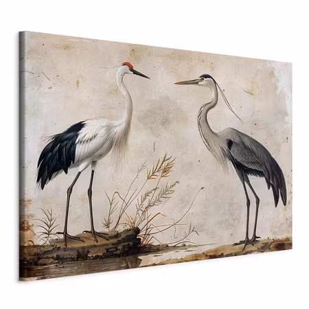 DIY canvastavla XXL - Birds from an old engraving