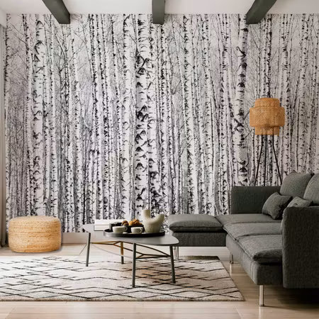 Fototapet - Birch Forest