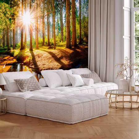 Fototapet - Marvelous Forest