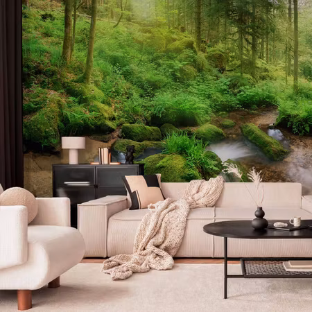 Fototapet - Humid Forest