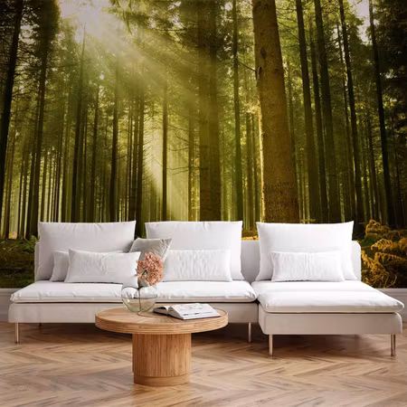 Fototapet - Pine Forest Â Dense Woodland in