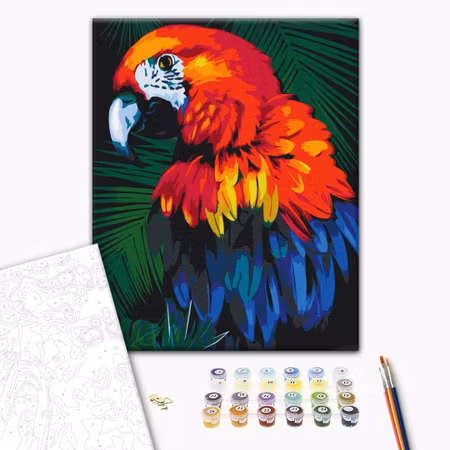 Måla efter nummer - Parrot