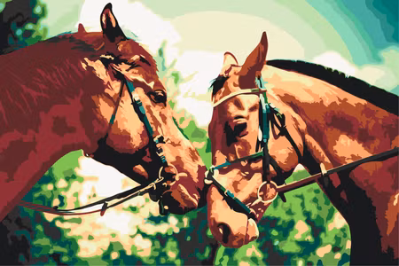Måla efter nummer - Two horses