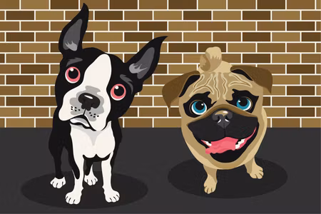 Måla efter nummer - Cute dogs