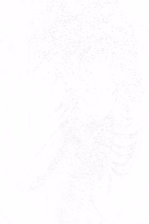 Måla efter nummer - Delicate figure