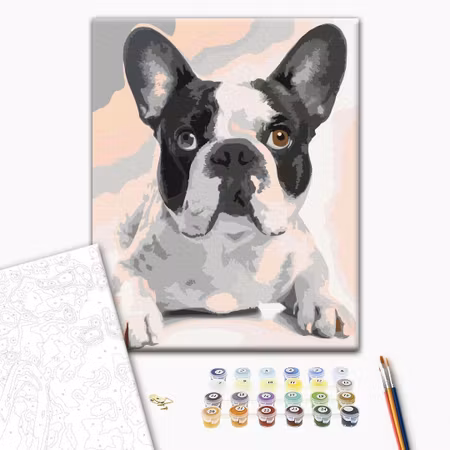 Måla efter nummer - French bulldog