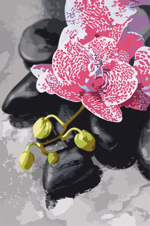 Måla efter nummer - Pink orchid