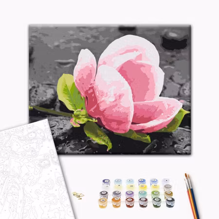 Måla efter nummer - Pink flower and stones