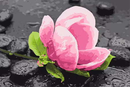 Måla efter nummer - Pink flower and stones