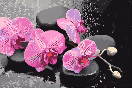 Måla efter nummer - Orchid with zen stones black
