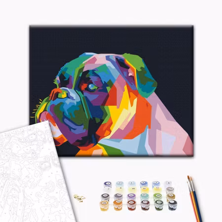 Måla efter nummer - Colourful boxer