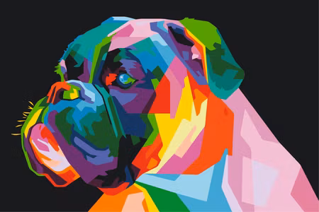 Måla efter nummer - Colourful boxer
