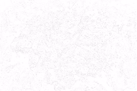 Måla efter nummer - Abstract lion