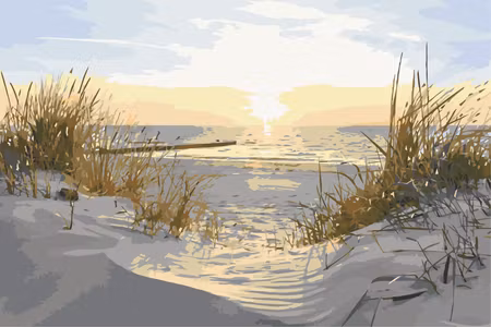 Måla efter nummer - On dunes