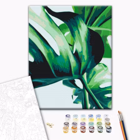 Måla efter nummer - Monstera adansonii