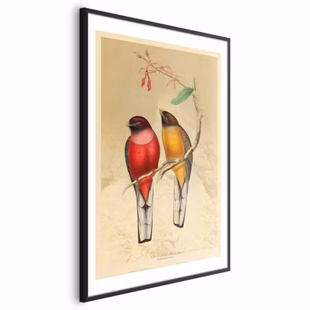 Poster med ram - Birds on a Branch