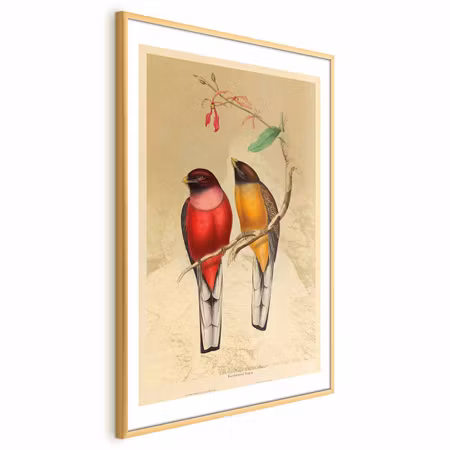 Poster med ram - Birds on a Branch