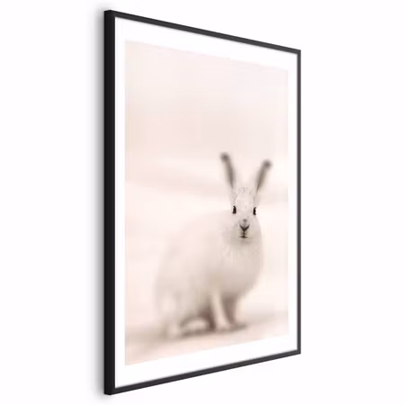 Poster med ram - Fearful Look