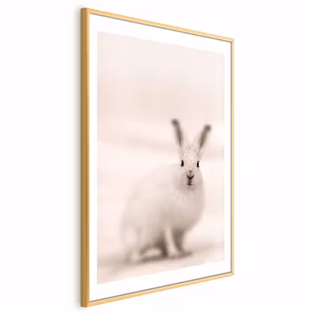 Poster med ram - Fearful Look