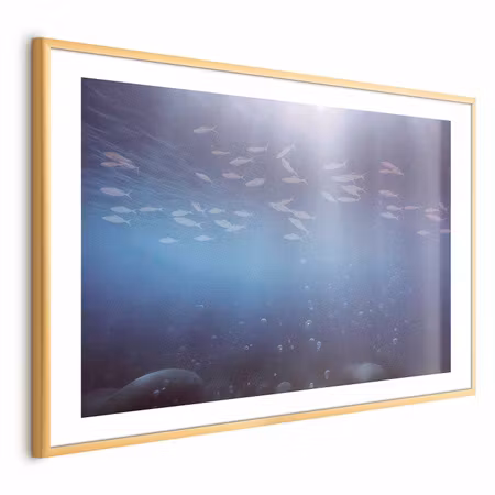 Poster med ram - Fish in the Depths