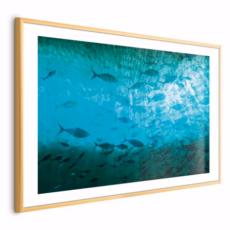 Poster med ram - Group of Dark Fish