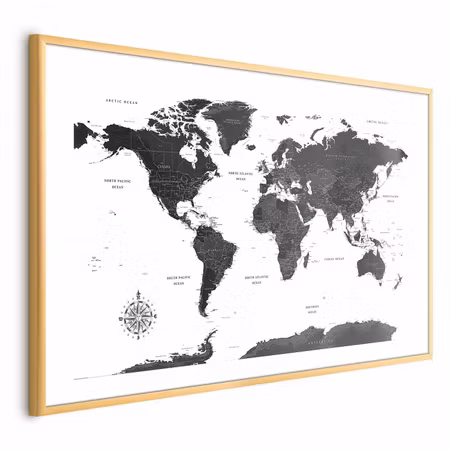 Poster med ram - Monochromatic Map