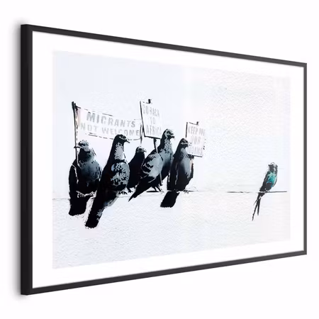 Poster med ram - Xenophobic Pigeons