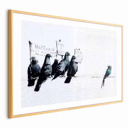 Poster med ram - Xenophobic Pigeons