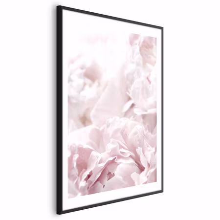 Poster med ram - Fluffy Peonies