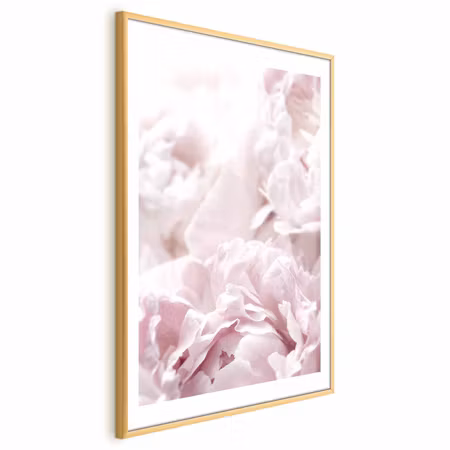Poster med ram - Fluffy Peonies