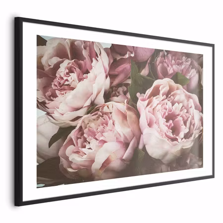Poster med ram - Pink Peonies
