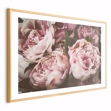 Poster med ram - Pink Peonies